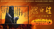 欧美伊人久久大香线蕉在观